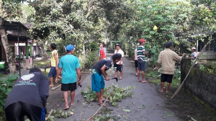 Rampas-Rampas Dahan dan Ranting Pohon Dusun Demangan