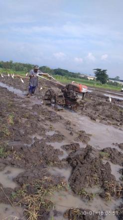 Petani Dusun Cawan Mengeluh Kesulitan Air