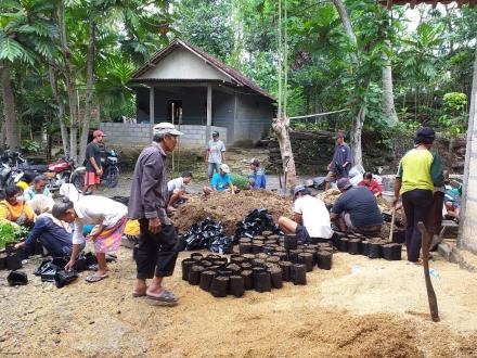 Sambut Lomba Aku Hatinya PKK, Warga RT 94 Tanam Sayuran